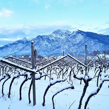 Agritur Ponte Alto Фермерский дом Тренто
