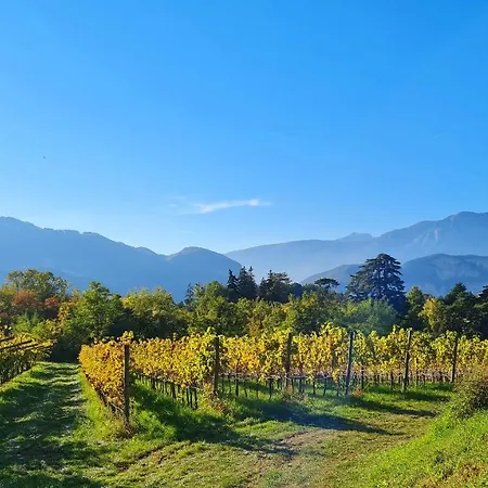 Agritur Ponte Alto Фермерский дом